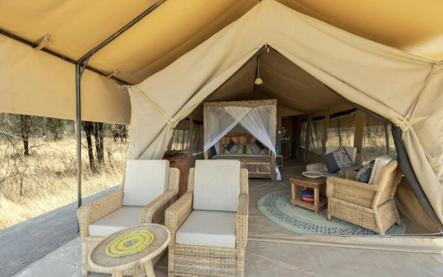 Africa Safari South Serengeti Ndutu Ngorongoro - Wildebeest migration now arrived!