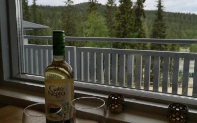Vuosselin Helmi B21
