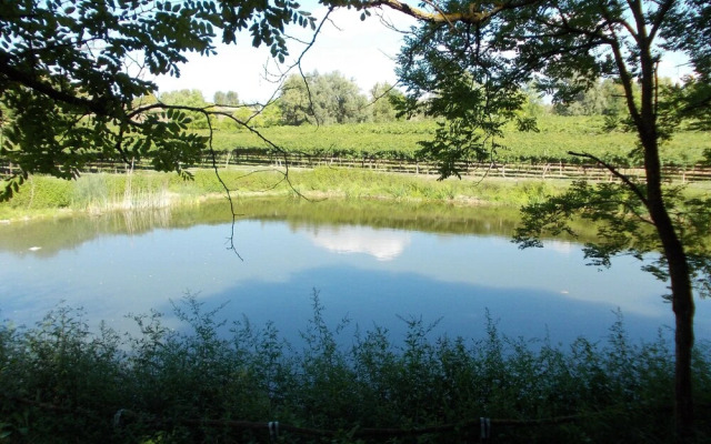 Agriturismo Ca' Vecia