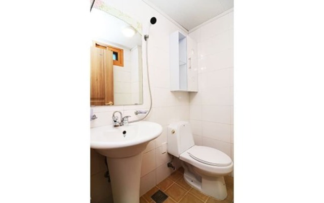 Gapyeong Mint Candy Pension (Gapyeong Station, spacious room, pick-up)