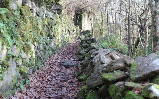 Apartamentos Pantón Ribeira Sacra