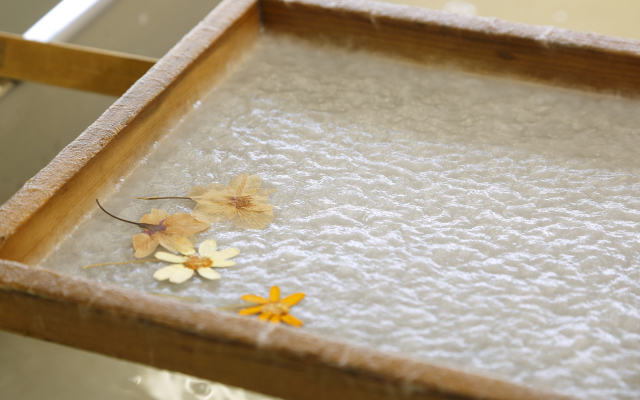 Hanahasu Onsen Somayama