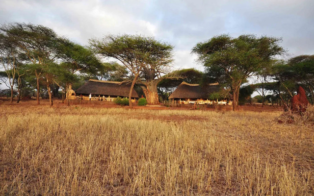 Sanctuary Swala