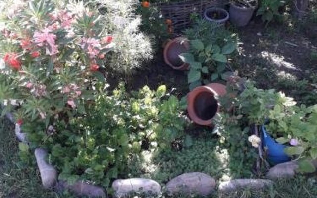 Hostel Kakheti
