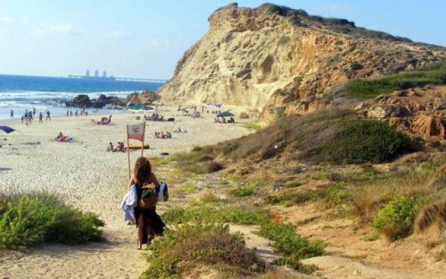 Caravans Through The Nature