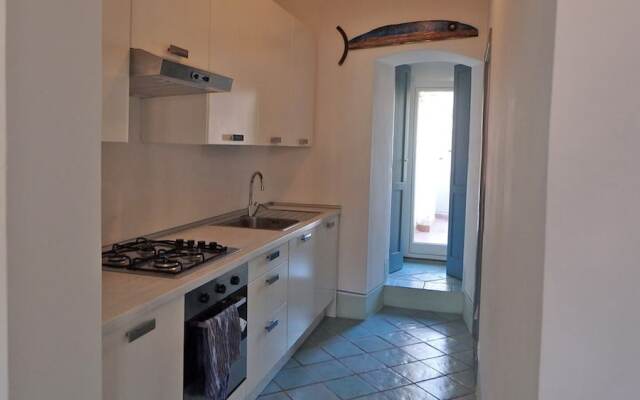 Il polpo e la sirena