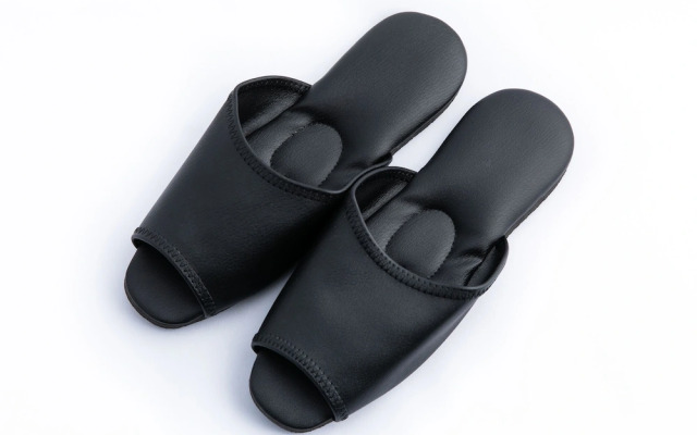 APA Hotel Suidobashi Ekimae