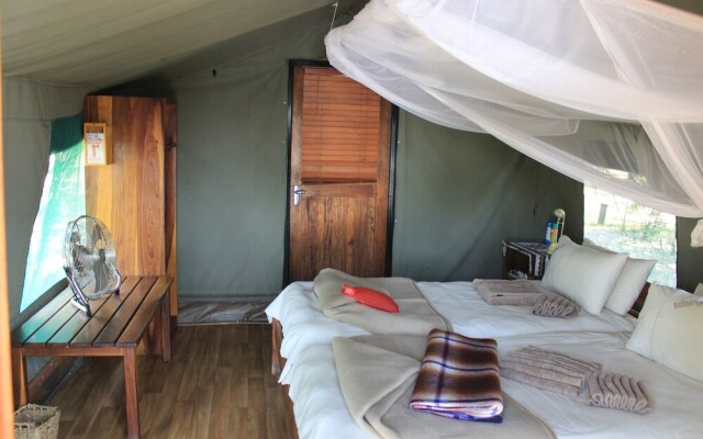 Ndhovu Safari Lodge - Campground