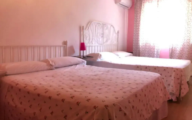 B&B Xenia
