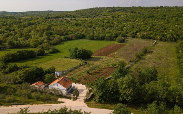 Nice Home in Kanfanar With Wifi and 1 Bedrooms