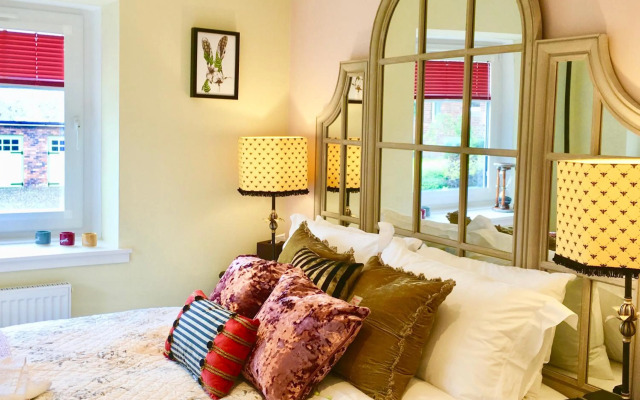 The Little Beech Tree