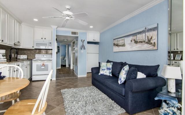 Seascape 1320 - Sea Turtle Nest