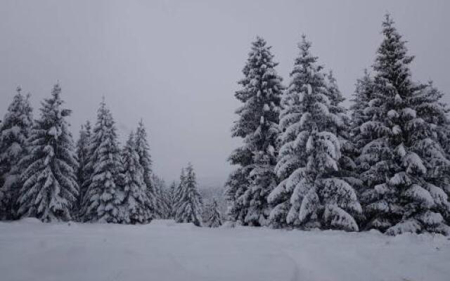 Mountain House Tara Apartmani Nikolic