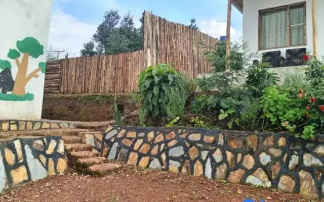 Ruhija Gorilla Guest house
