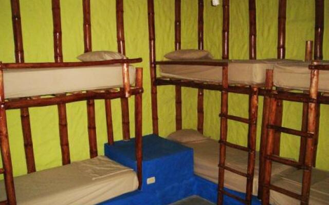 Psygon Surf Camp