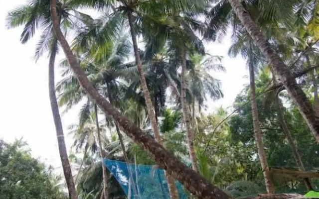 Saturn Beach Cottage