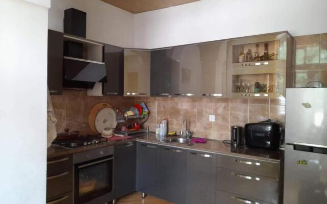 Apartament in the center of Borjomi