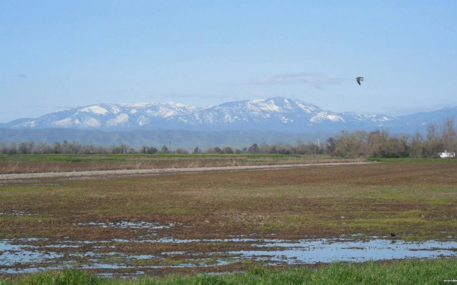 Best Western Willows Inn