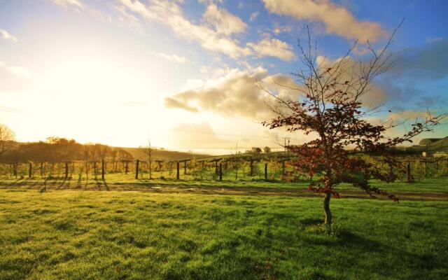 Jabajak Vineyard Restaurant With Rooms