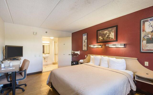 Red Roof Inn Tampa Busch