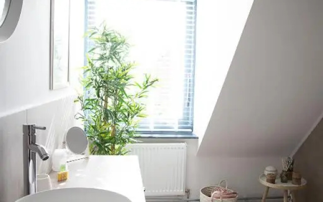 Bed and Wine Nonsolovino