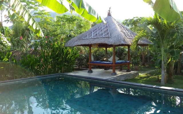 Pazzo Bali