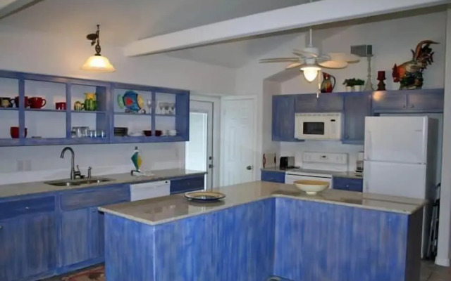 Blue Calypso ASL609