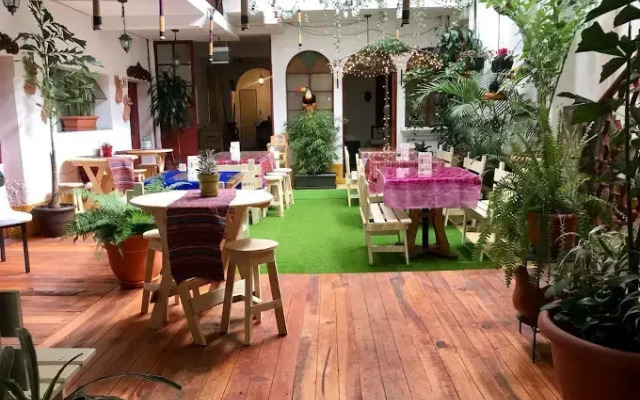 Hotel Alma Maya