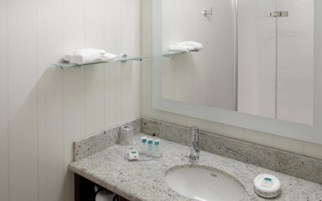 Springhill Suites by Marriott Alexandria Old Town/Southwest