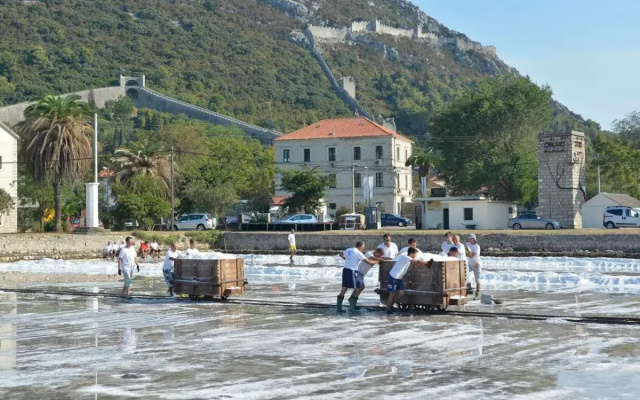 Vila Ruža