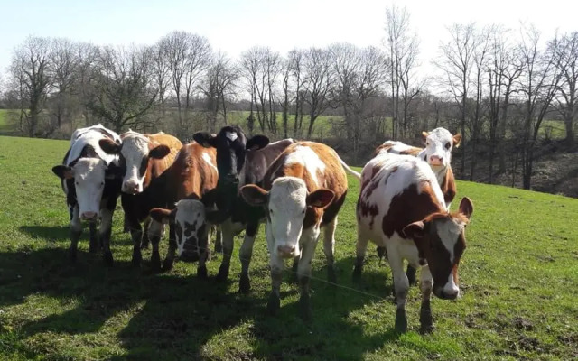 Glamping des 2 Marguerites