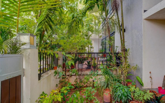 Paradise Guest House