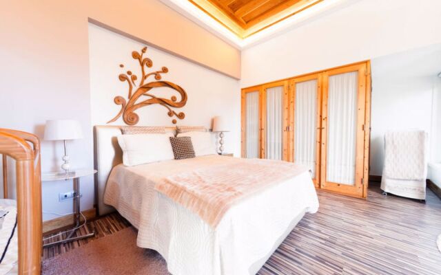 Conceição (NZE221)