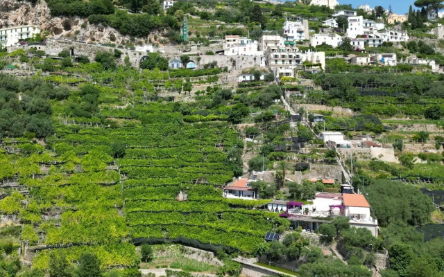 Suite I Limoni