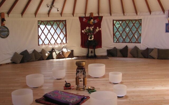 Ram Spring Wellness