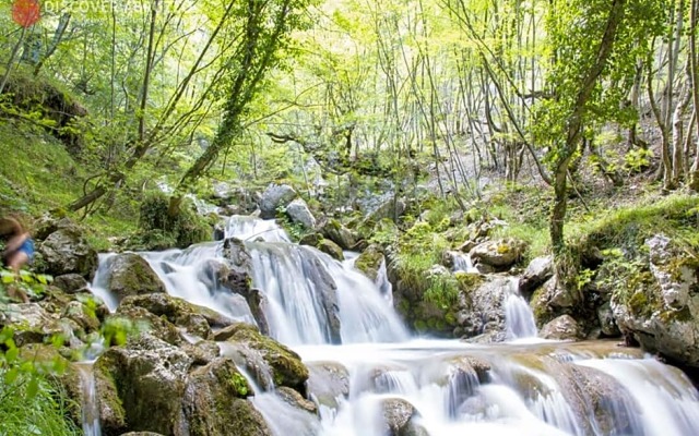 Villa Patrizia Ristorante Hotel