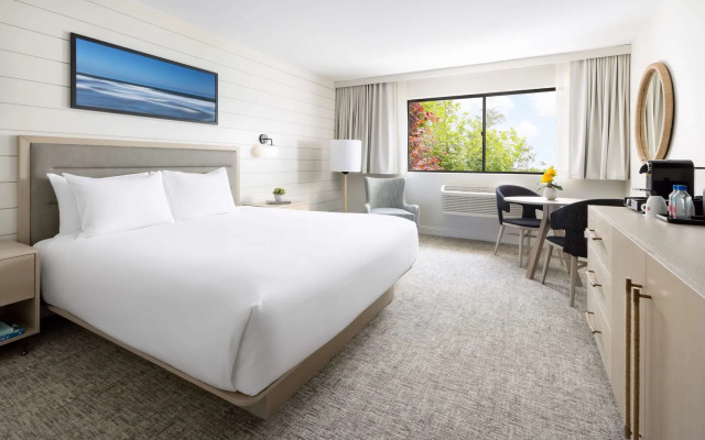 The Pell - JDV by Hyatt