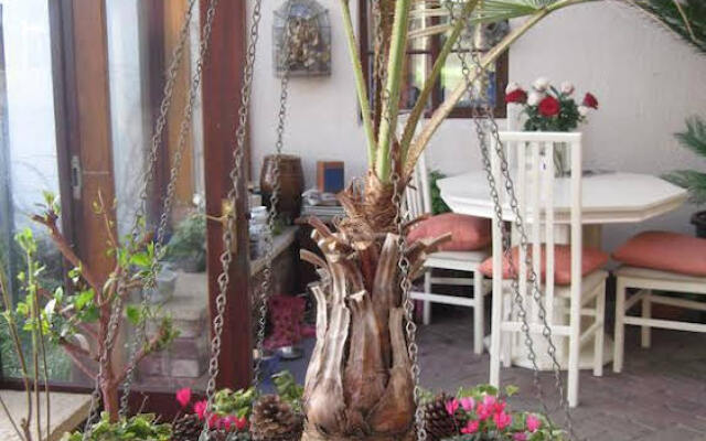 Woodshoot B&B
