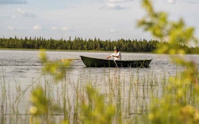 Metsä Kolo