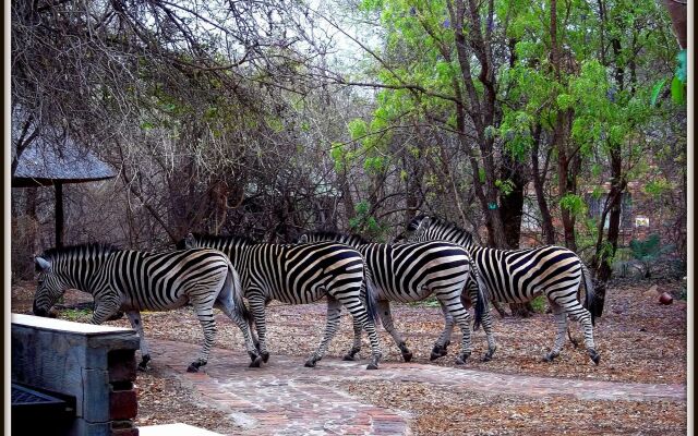 Phumula Kruger Lodge