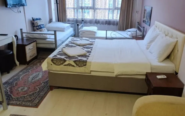 New Backpackers Hostel