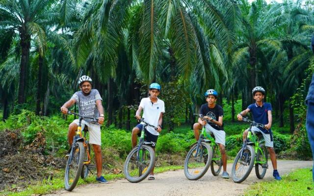 Palattys Resorts