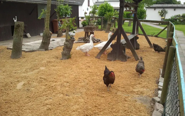 Familien- & Aparthotel Strandhof