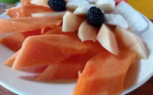 La Gran Mosca Verde Hostel