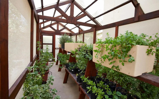 Manchebo Beach Resort and Spa