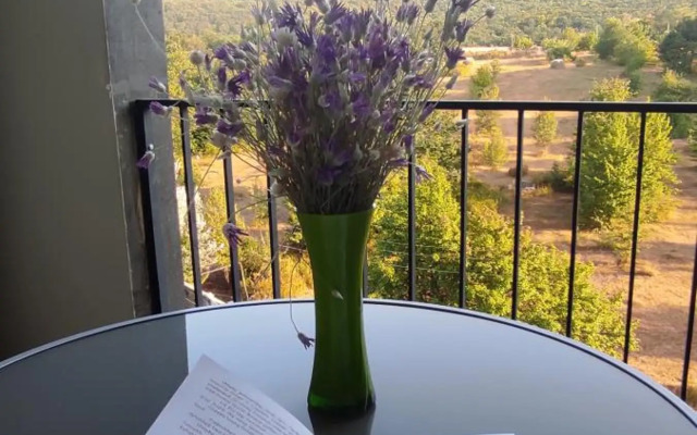 Sunny apartment in Kechi House, Tsaghkadzor