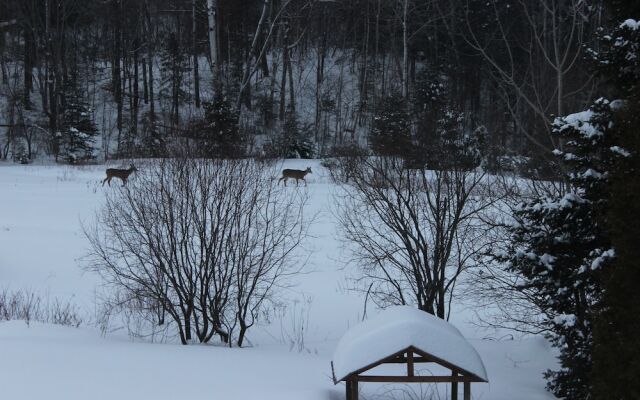 Chalet Le Saint-Paul