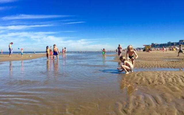 Reumann Holiday Apartments: De Schelp