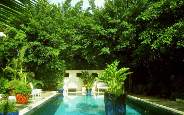 The Cockatoo Nature Resort & Spa