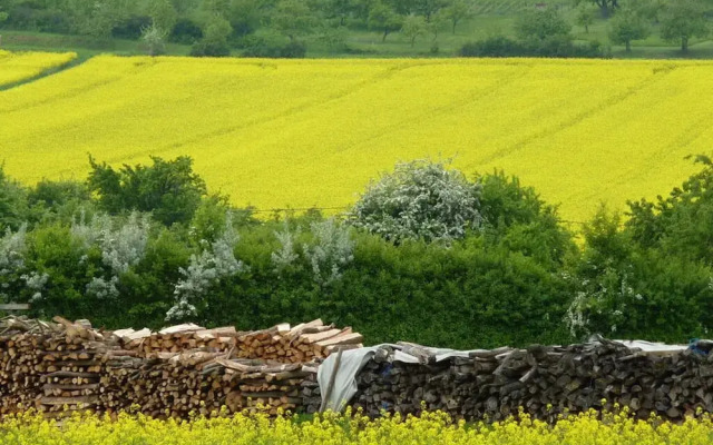 Tranquil Apartment Near Lake